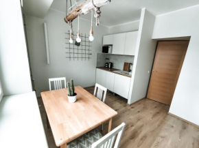 Suur-Sepa apartment near city centre and beach